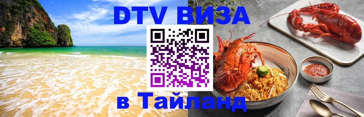 Оформление DTV визы под ключ: стоимость и тарифы, только загранпаспорт - 21.11.2025 